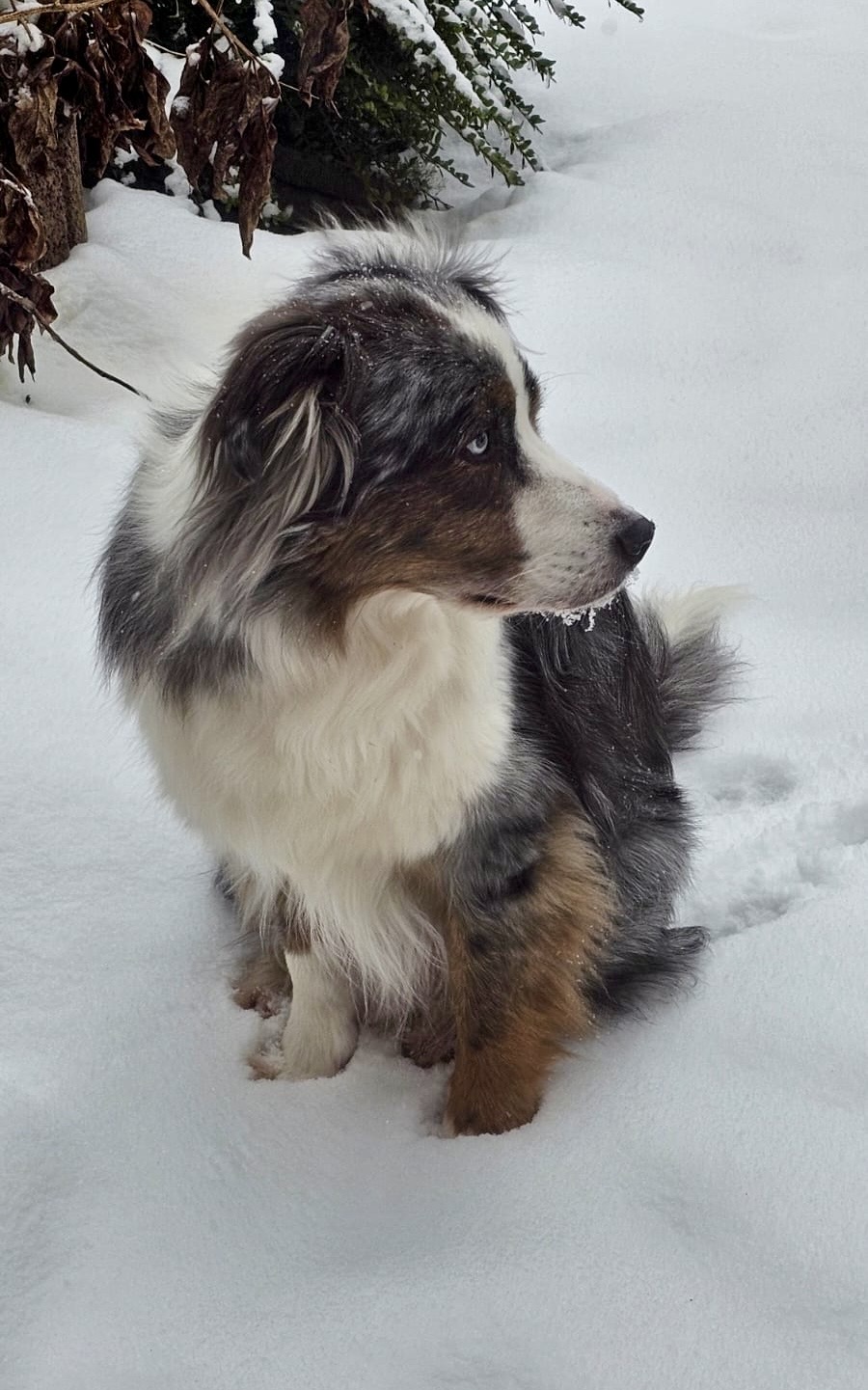 9d653917-4323-4891-9f79-804ea537d0e3