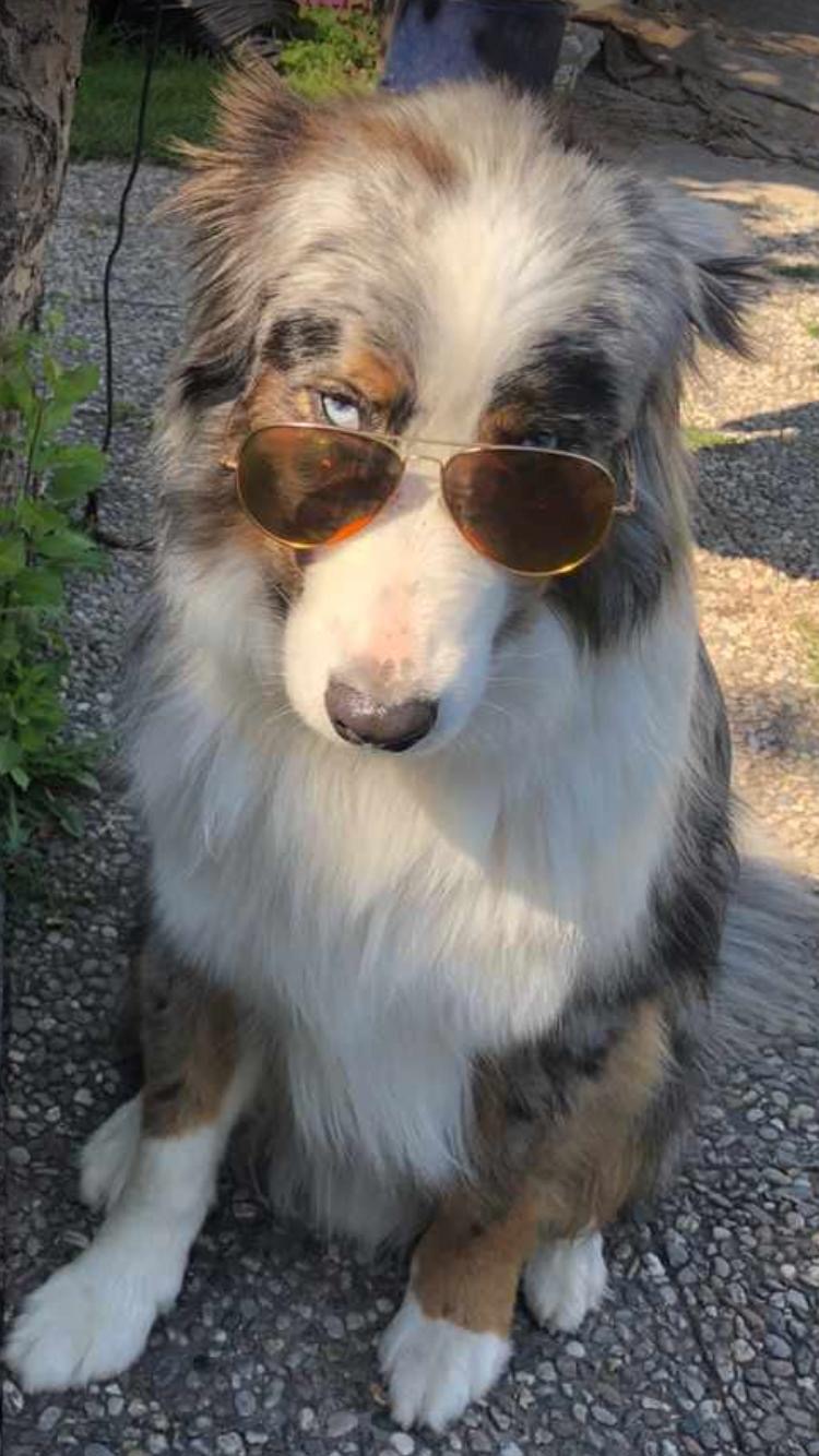 4ae6c0bd-54a2-403c-b531-d17f44a2b9fd